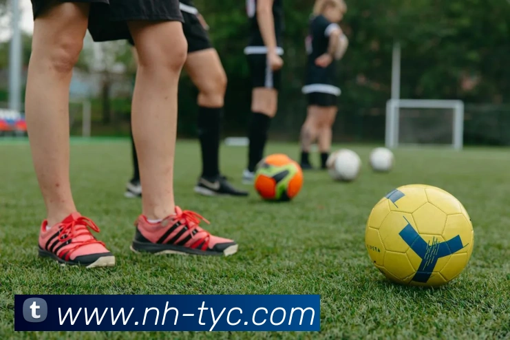 澳门太阳城平台生态图